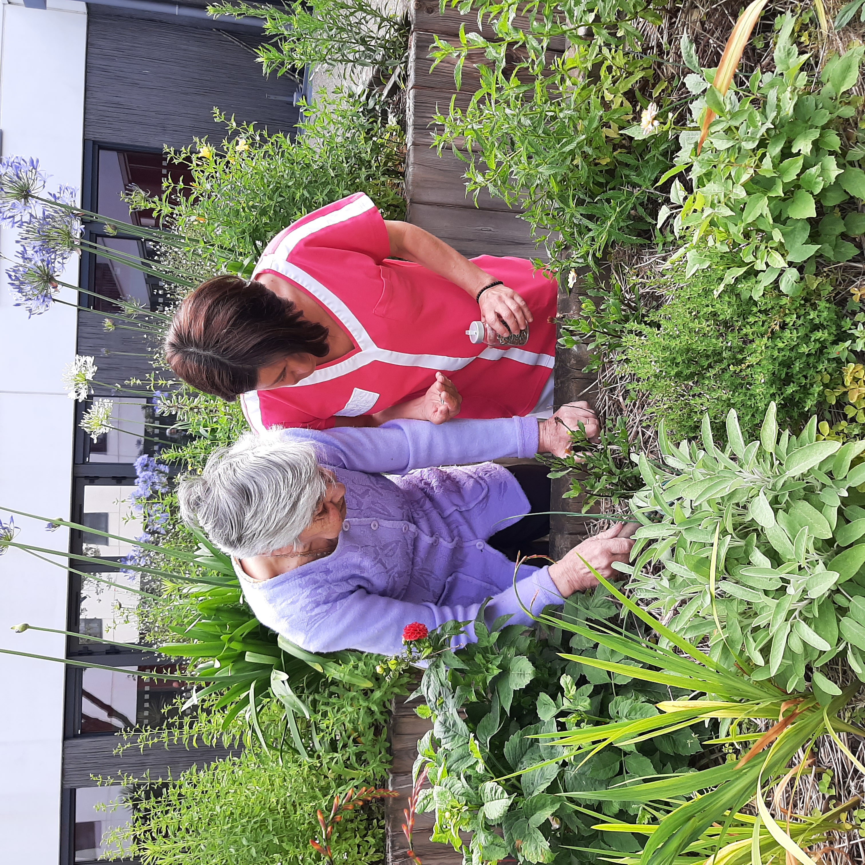 Personne âgée et salarié qui font du jardinage