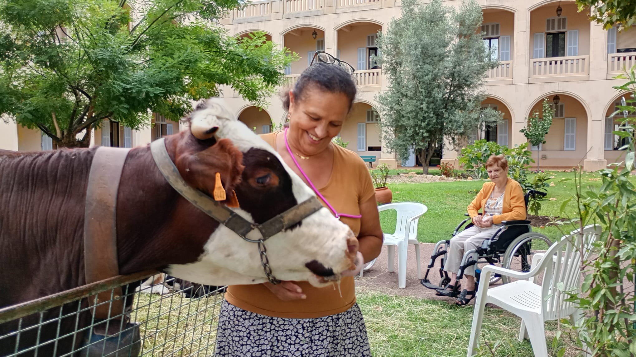 Personne âgée avec une vache