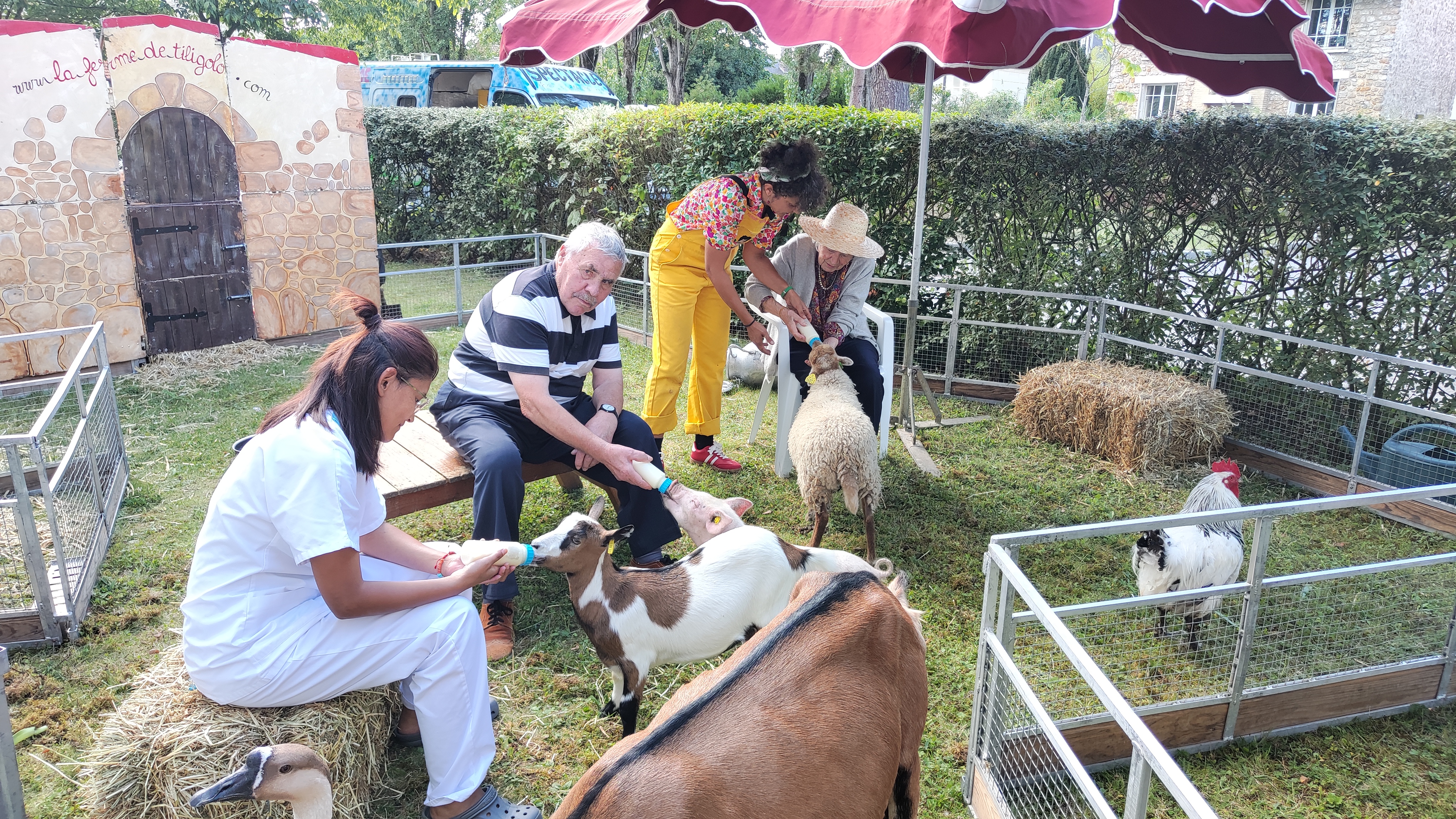 Personnes âgées avec des animaux