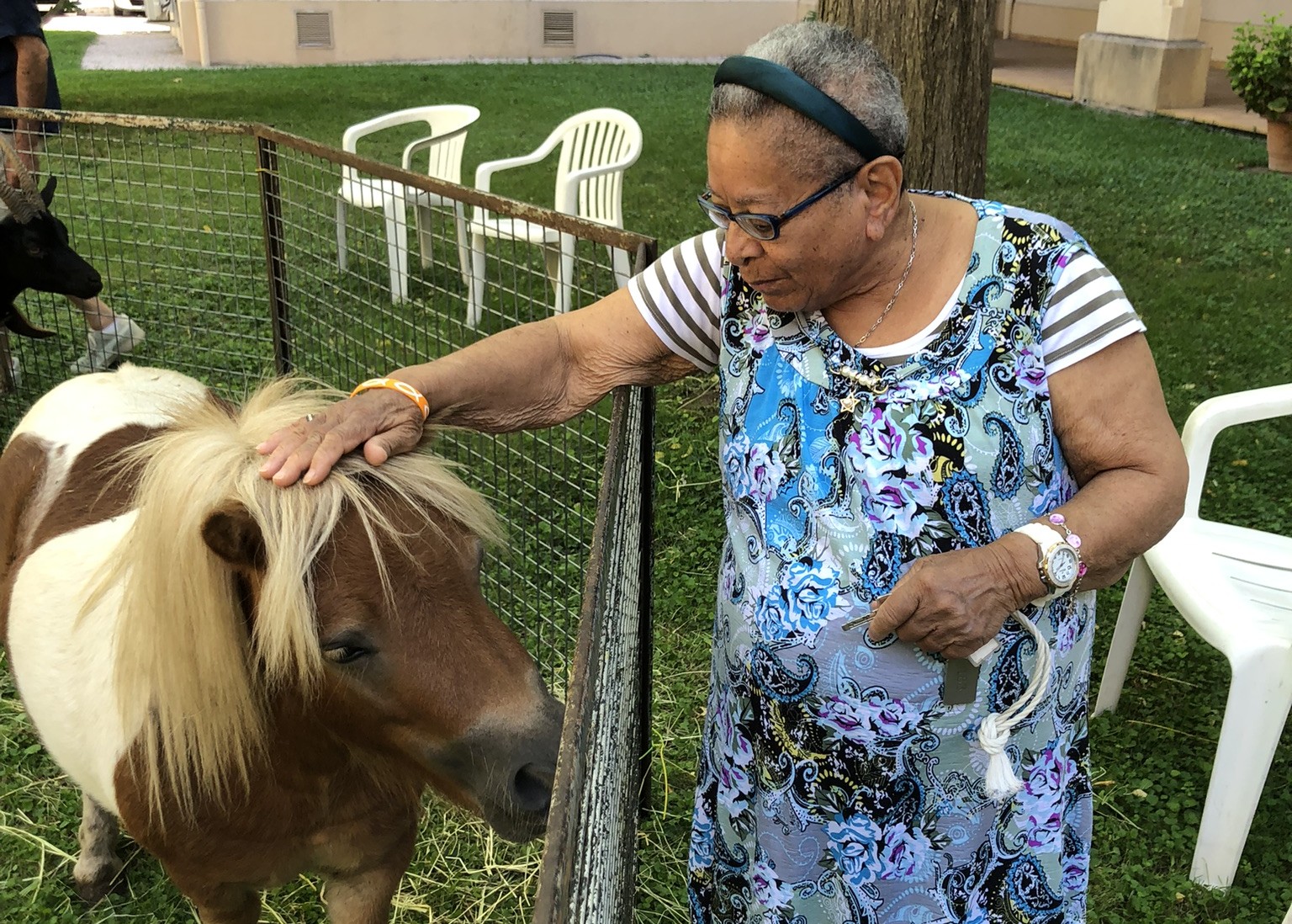 Personne âgée avec un poney