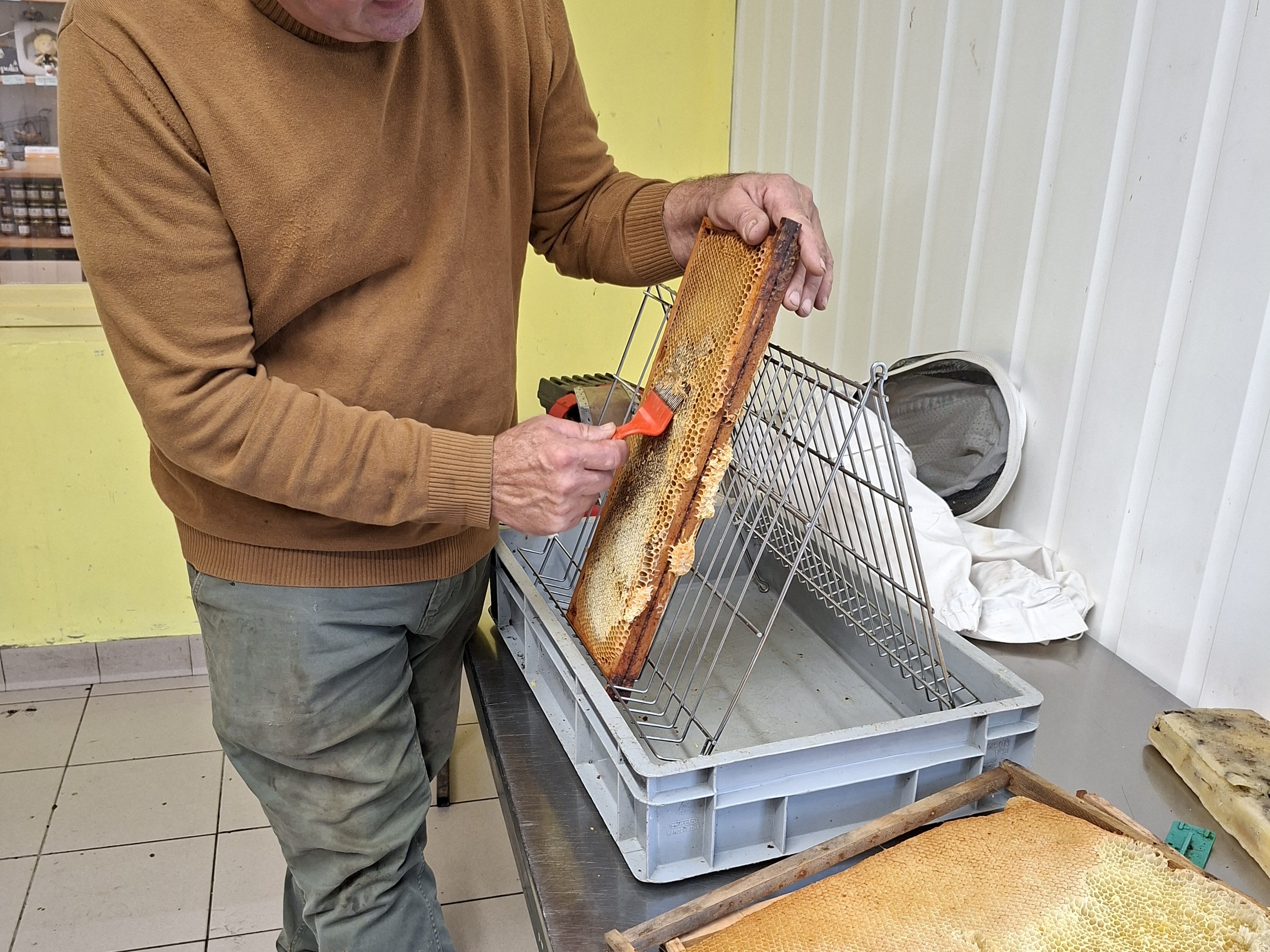 Personne qui fait du miel