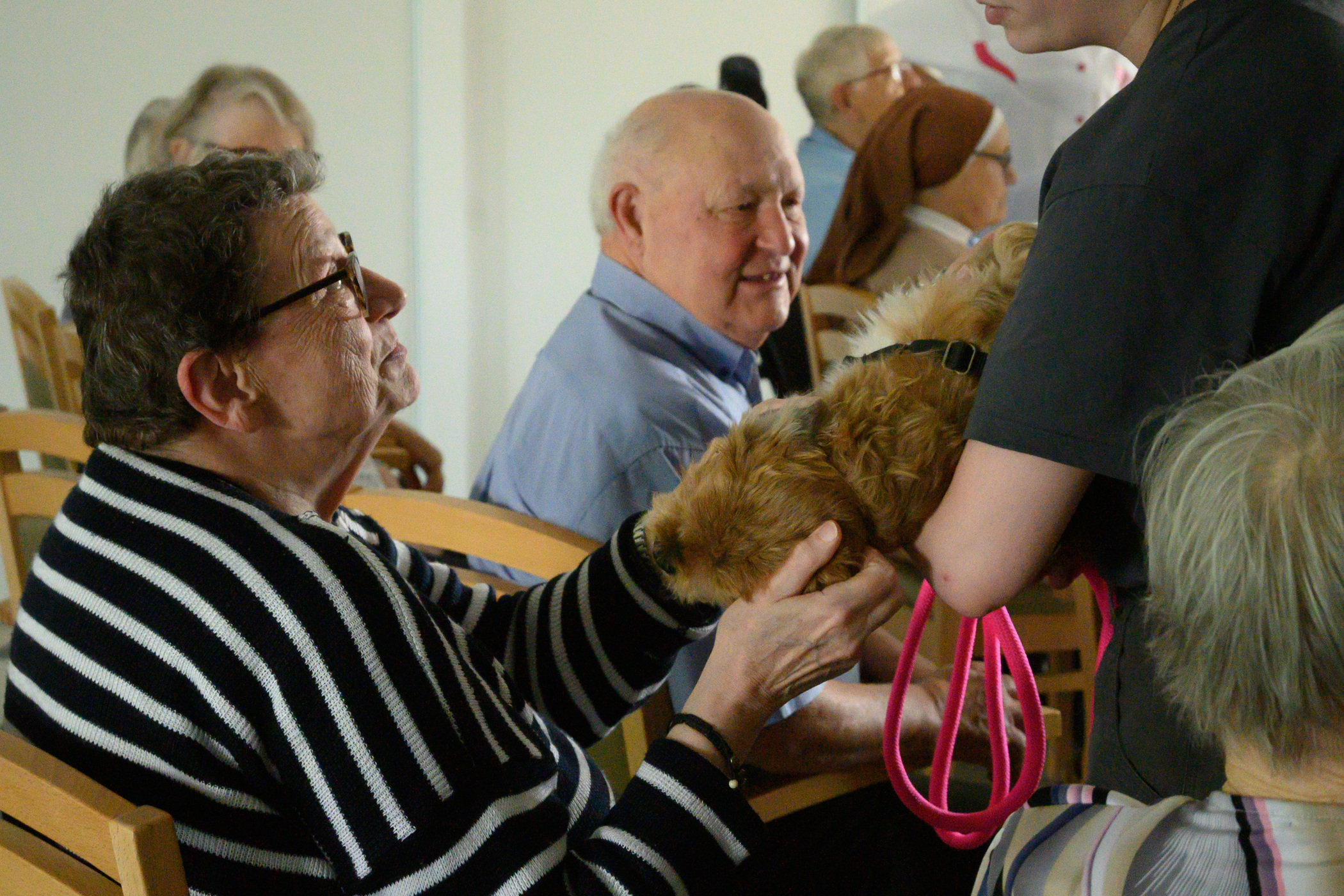 Personnes âgées avec des animaux